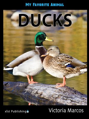 cover image of My Favorite Animal: Ducks
